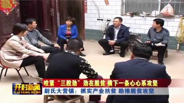 尉氏大营镇:抓实产业扶贫 助推脱贫攻坚