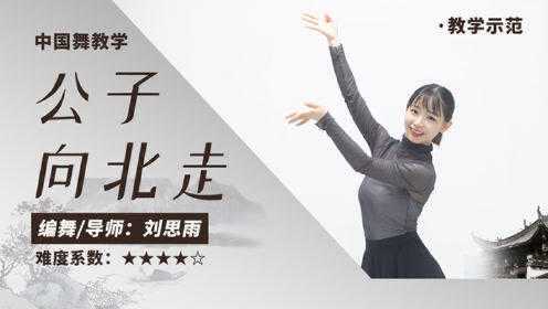 中国舞《公子向北走》舞蹈展示（练习室版）