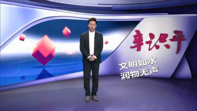 辛识平:从武汉到金奈——让文明交流架起友谊之桥