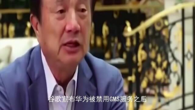 鸿蒙两三年媲美iOS,HMS取代GMS,开发者突破101万!