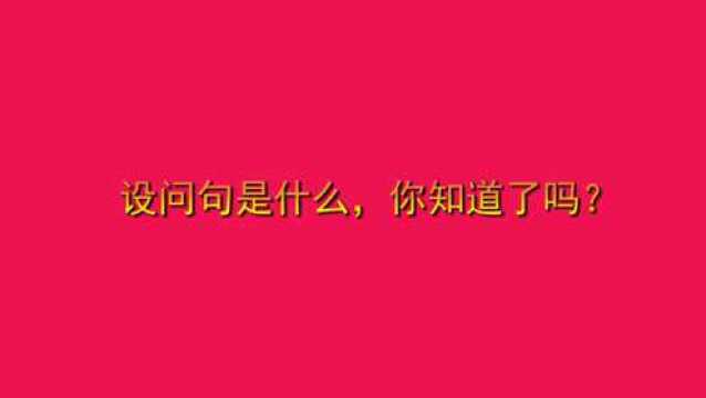 设问句是什么,你知道了吗?