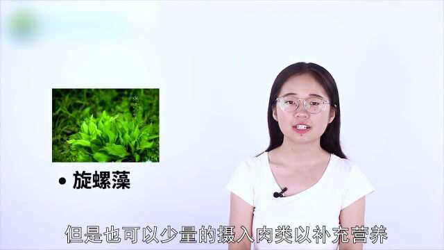 观赏虾子平时吃什么?