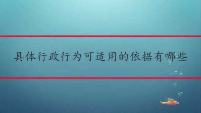 具体行政行为可适用的依据有哪些