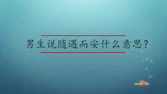 男生说随遇而安什么意思?