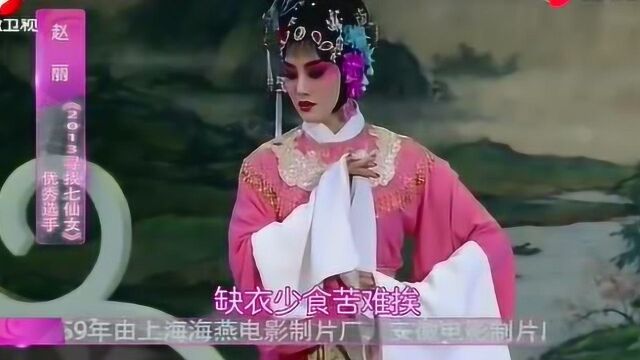 黄梅戏《女驸马》选段,艺术家汪林林倾情演唱,真不错