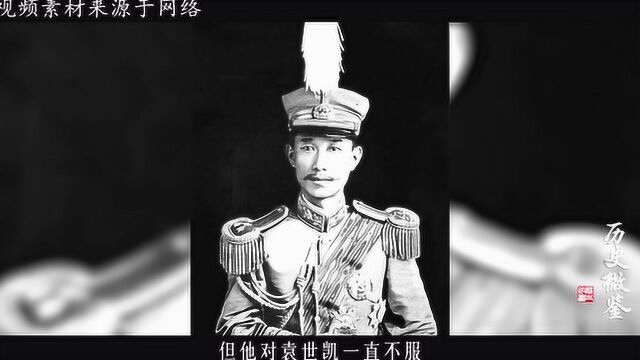 蔡锷将军离世后,小凤仙过的怎么样?晚年痴呆凄惨离世