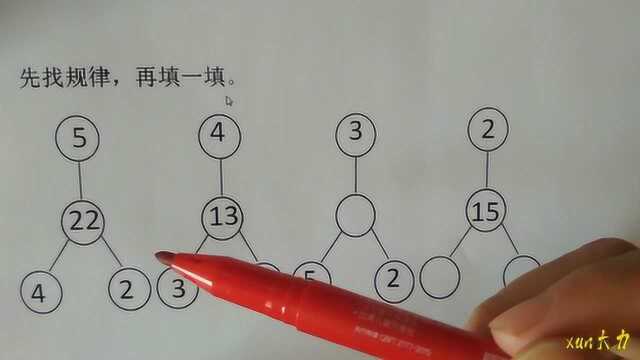 二年级小学数学思维试题,先找规律,再填一填