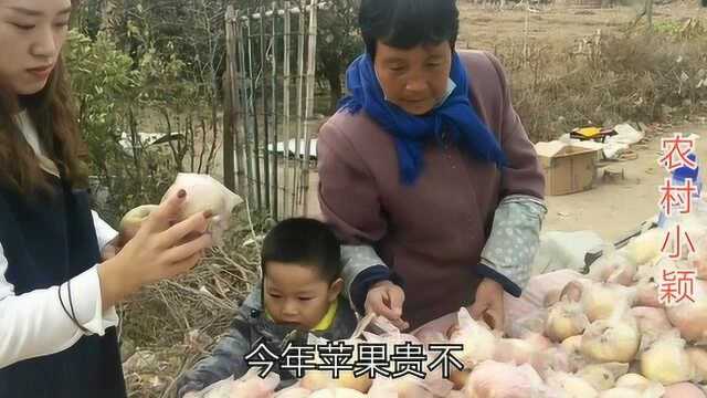 农村老太太的苹果园,今年有了新思路,每斤多卖出1块钱