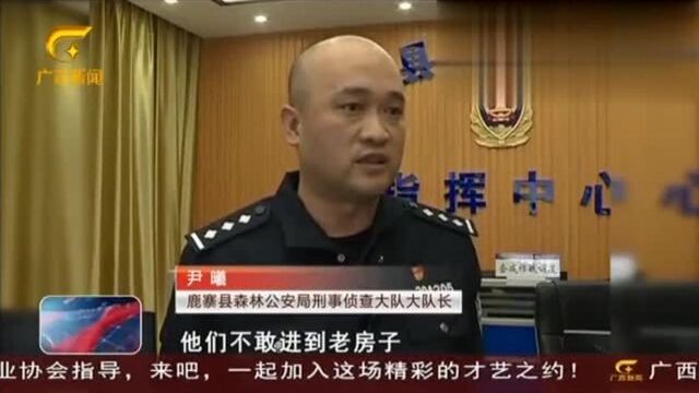 柳州:警方收到匿名举报 有人兜售“合欢鸟”