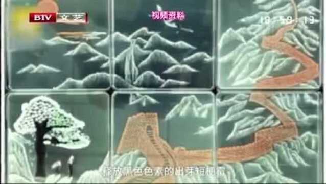 大学生培养真菌 画出松鹤和长城 网友笑称 真有艺术细菌