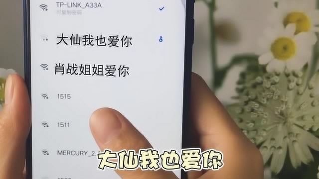 王者荣耀张大仙配合女邻居给wifi起名