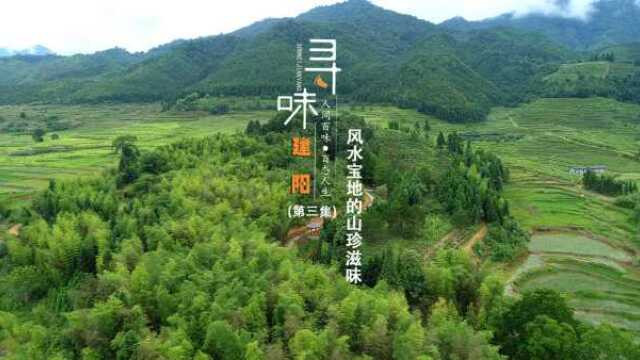 《寻味建阳》第三集:风水宝地的山珍滋味