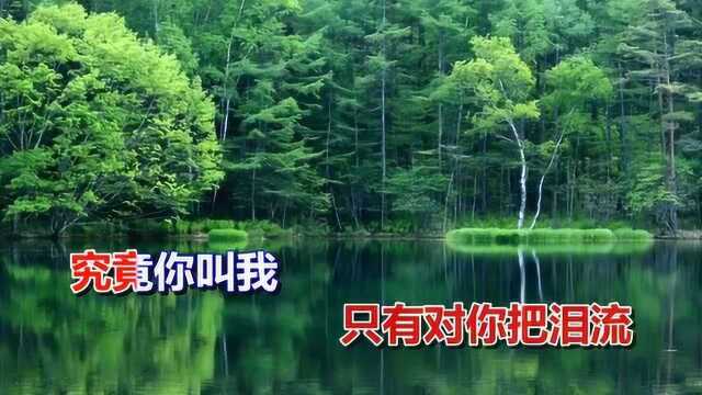 《一去不回头》,这首歌曲赞不绝口,歌声绕梁