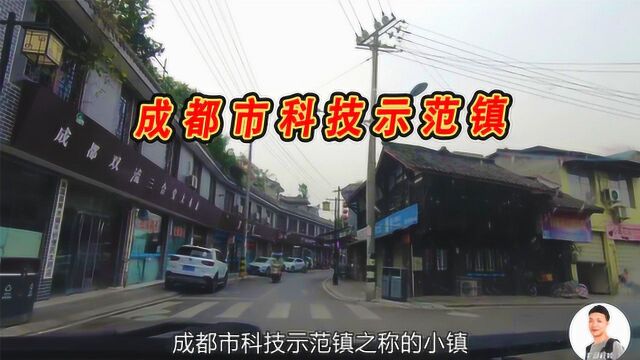 成都双流:川藏线上的黄水镇,四川省综合经济实力50强乡镇