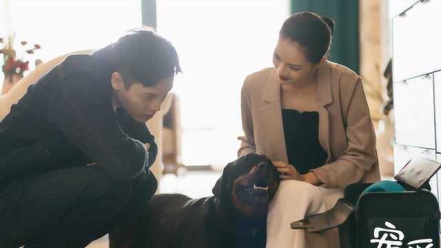 《宠爱》终极预告!11位明星诠释“宠爱”含义,2分钟暖心又治愈