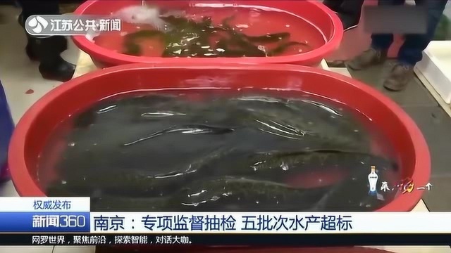 关注水产品安全 农贸市场、超市专项监督抽检 查出这些禁药