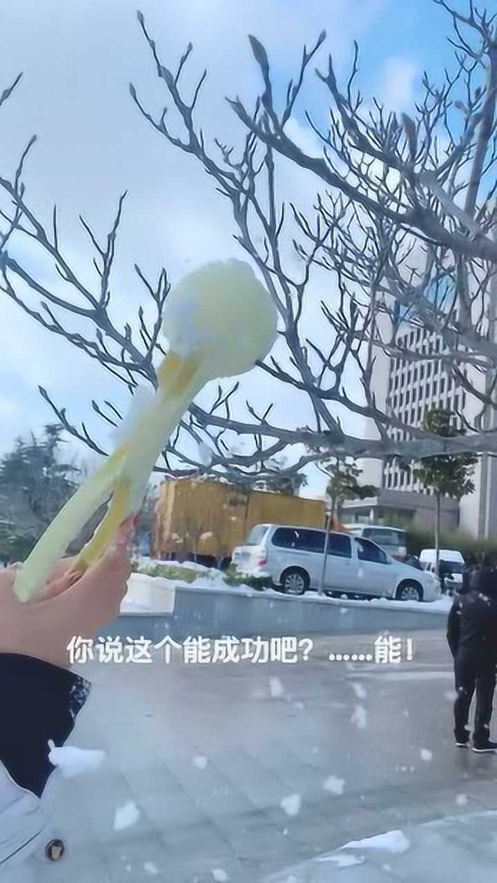 雪球还能这么玩整个树上都挂满肯定很漂亮吧