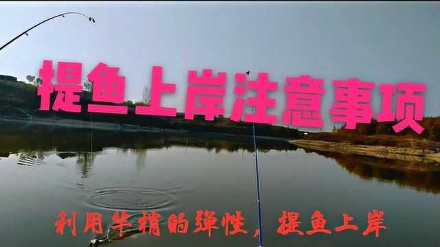 海竿钓鱼到岸边的时候最容易跑鱼,学会这几招.十拿九稳