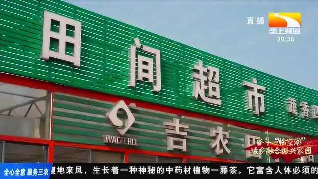 “有机”助力东西湖现代农业高质量发展