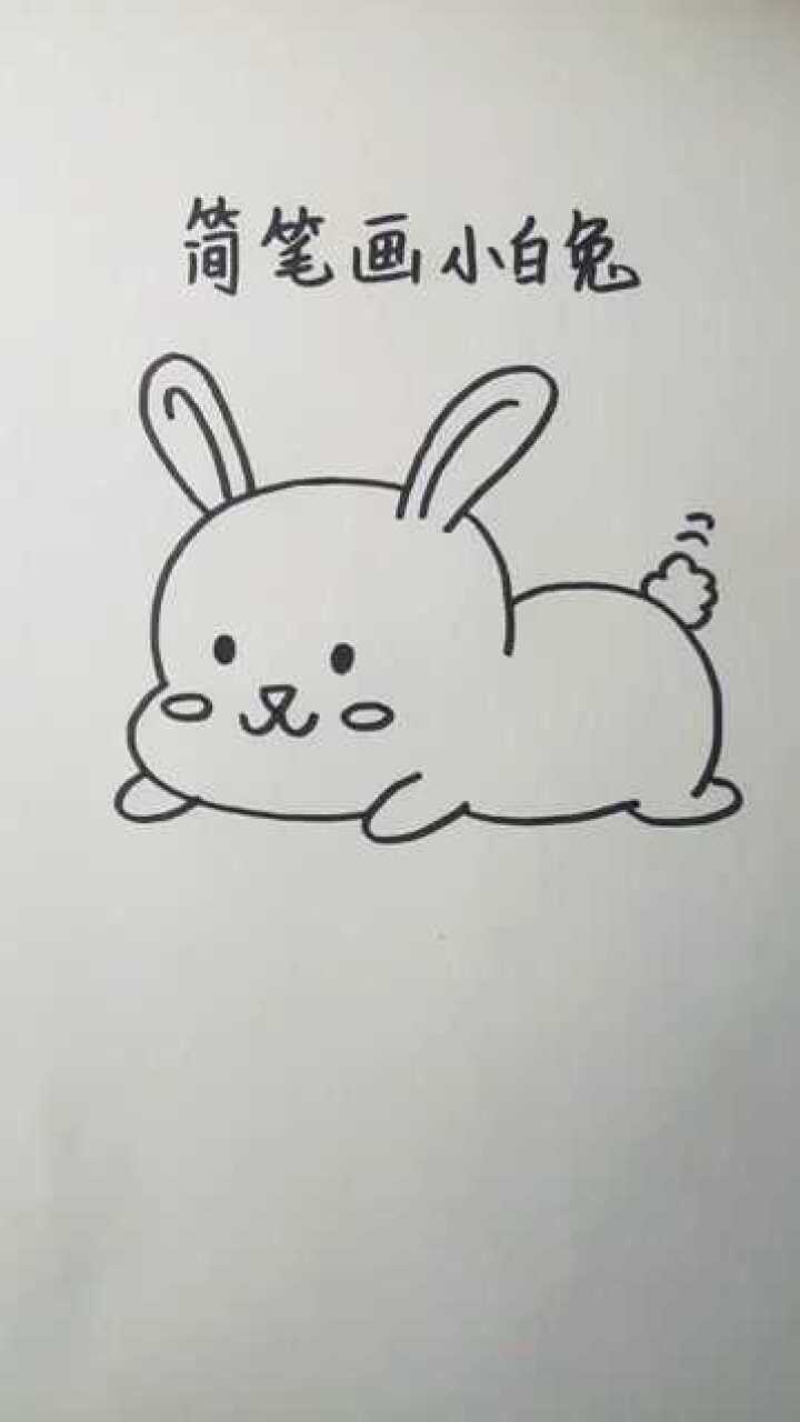 画一个可爱的小白兔图片