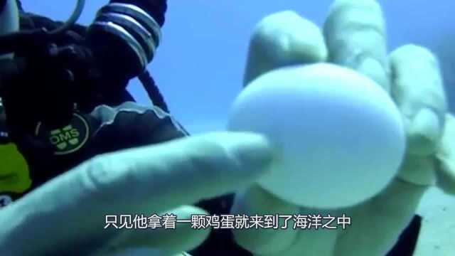 在海底就能轻易敲碎鸡蛋小伙潜入海底测试,连鱼都吸引了过来