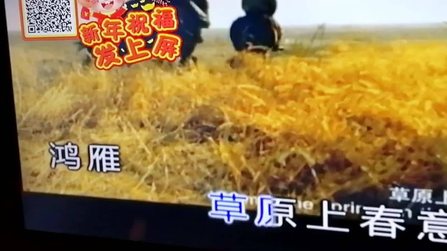 高手在民间,一曲《鸿雁》唱出专业水准,彻底颠覆了我对他的认识