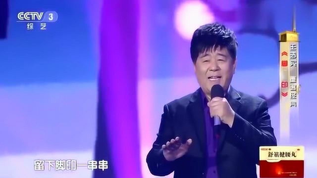 歌手王洁实演唱《脚印》越听越美,让人倍感舒适