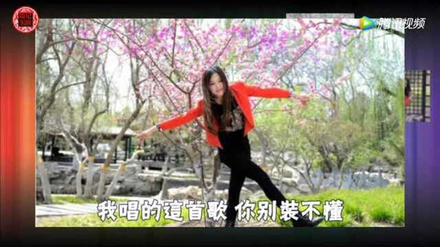 流行动听的情感歌曲《动了情》囚鸟风格真情演唱!音美动听!