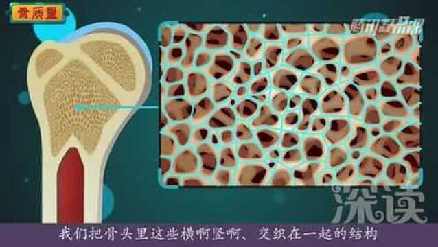 深读骨质疏松2:燃爆烧脑解析骨质疏松!
