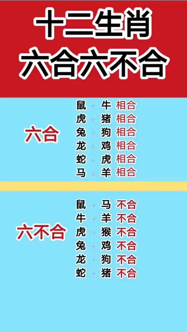 12生肖六合六不合