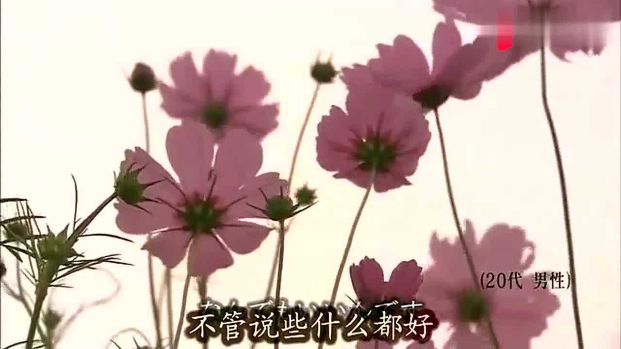 纪录片《无缘社会》:第一集_高清1080P在线观看平台_腾讯视频