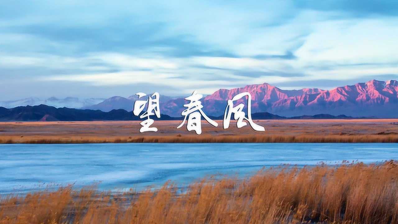 大提琴曲《望春风》优美抒情,令人如痴如醉!