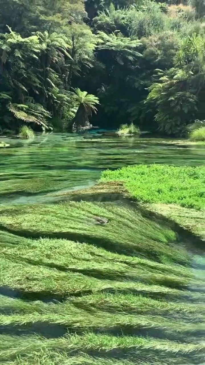 大自然是最美的艺术家,爱护自然人人有责