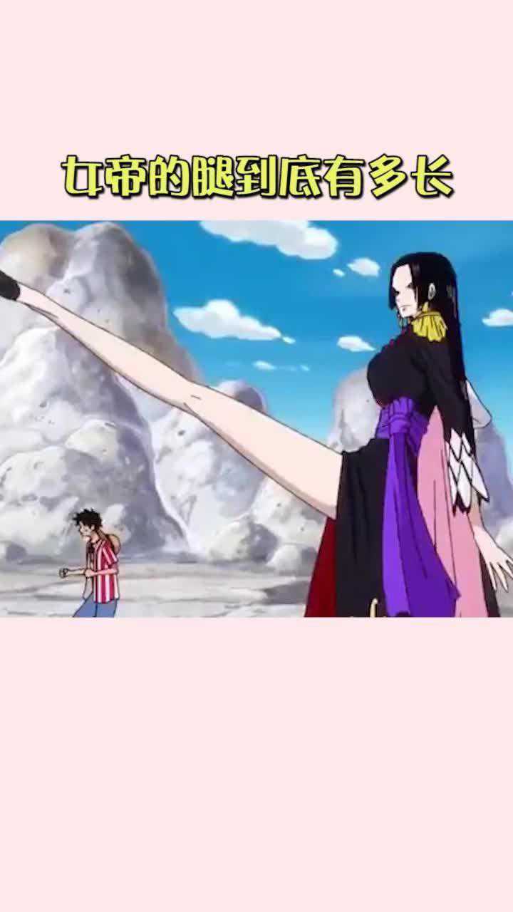 海贼王女帝的腿到底有多长?
