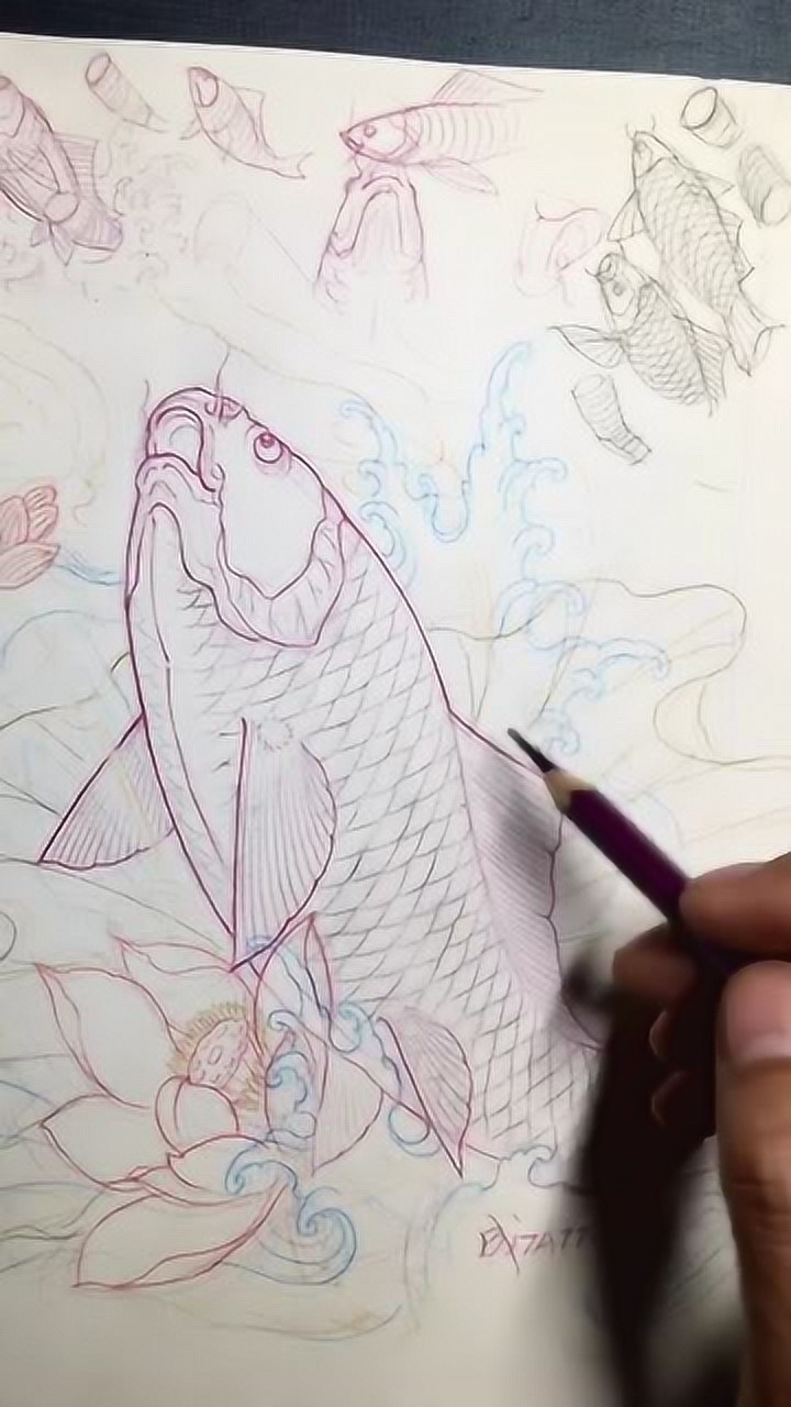 素描最难画的鱼大神亲自指导学好画画就是那么简单