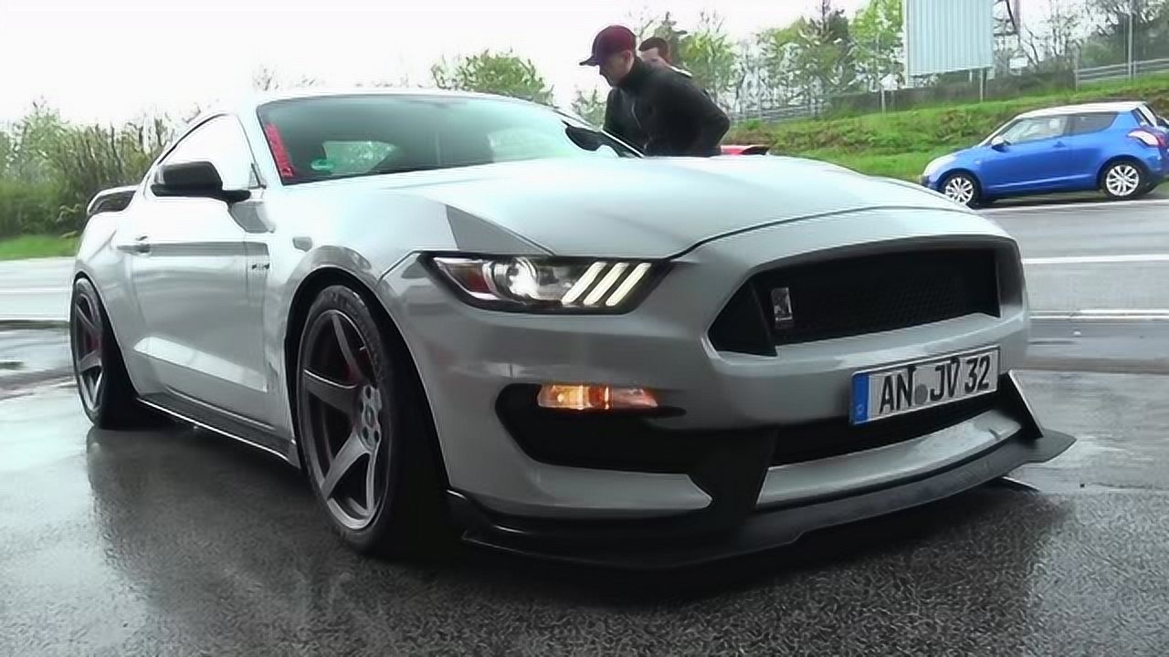 野马这是一个蛇标吗