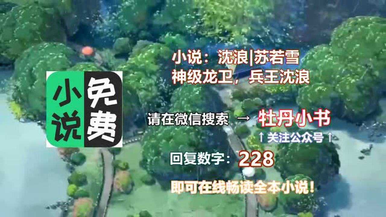 《神級龍衛》兵王沈浪,大結局