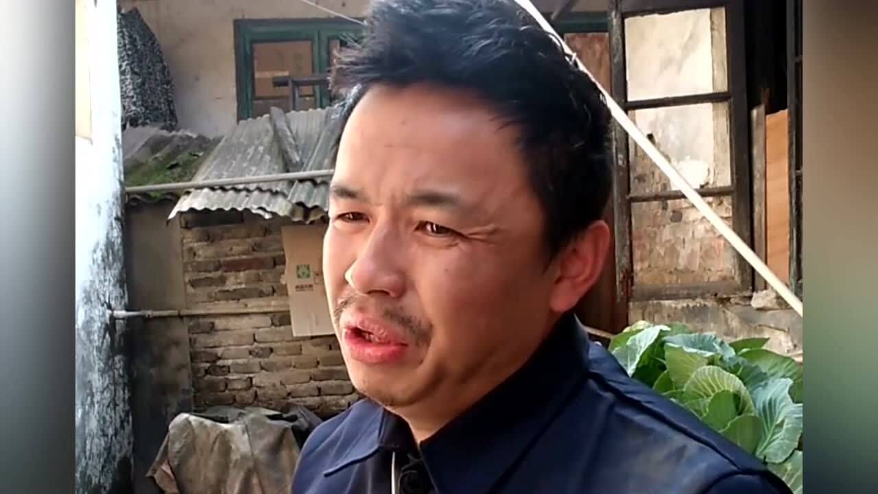 养蜂人神经哥一曲潮湿的心深情动人太好听了