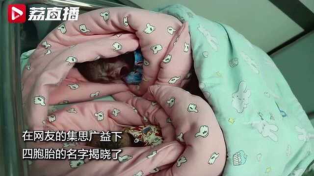 徐州小夫妻喜提四胞胎 网友众筹名字“战疫新生”