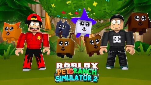 小格解说Roblox宠物岛模拟器：超级宠物王国！