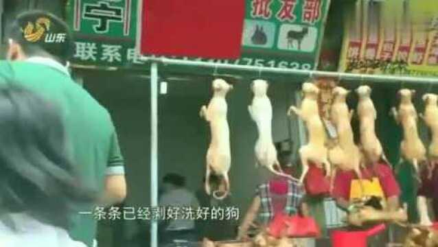 狗肉摊位很是火爆,市民直言吃狗肉是个人意愿,不要强加给别人!