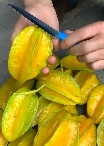杨桃的正确吃法这样吃不涩口脆甜多汁秋冬季节必备神器