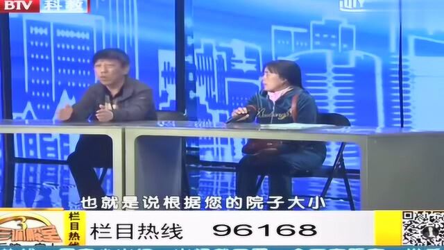 家人所作所为令人不满 小妹引起全家公愤