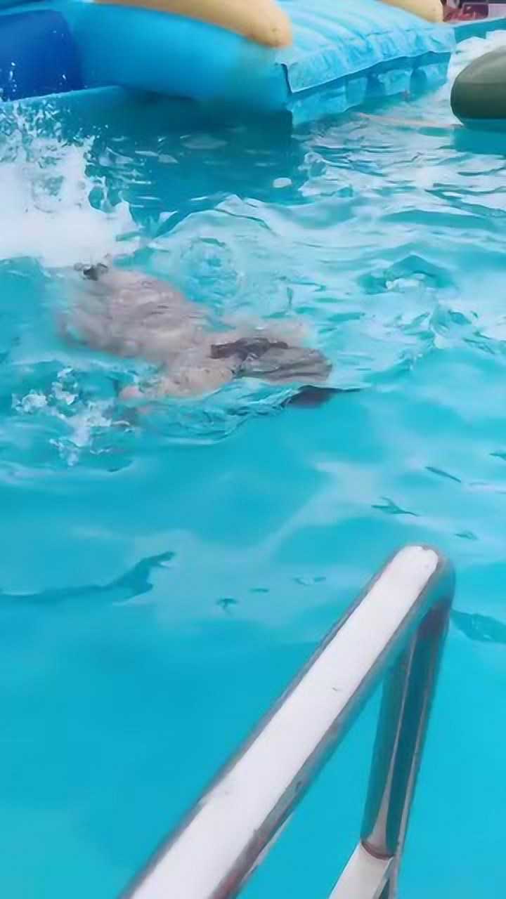 美女在泳池自学游泳在水下一直憋气肺活量真大