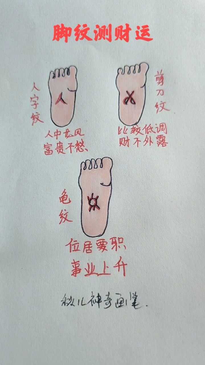 脚纹算命图解脚底横纹图片