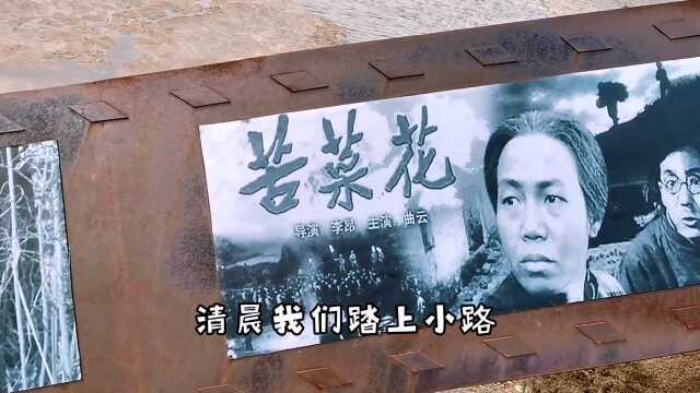 山东威海名人录:谷建芬,“中国流行音乐教母”,当代著名作曲家