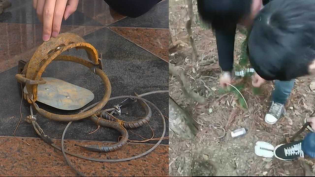 看法长沙县两男子山中设陷阱捕野猪结果捕获一樵夫引来民警