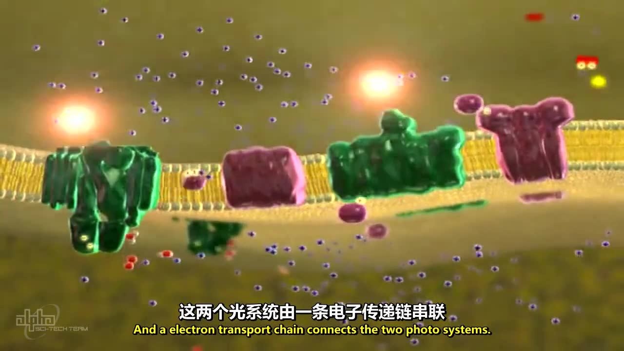 光合作用的详细过程讲解 光反应和暗反应_腾讯视频