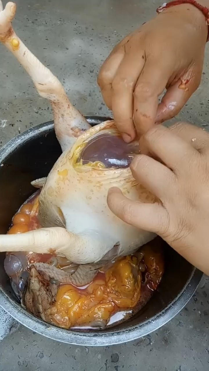 为什么每只鸡肚子里都有一个这么大的水泡?