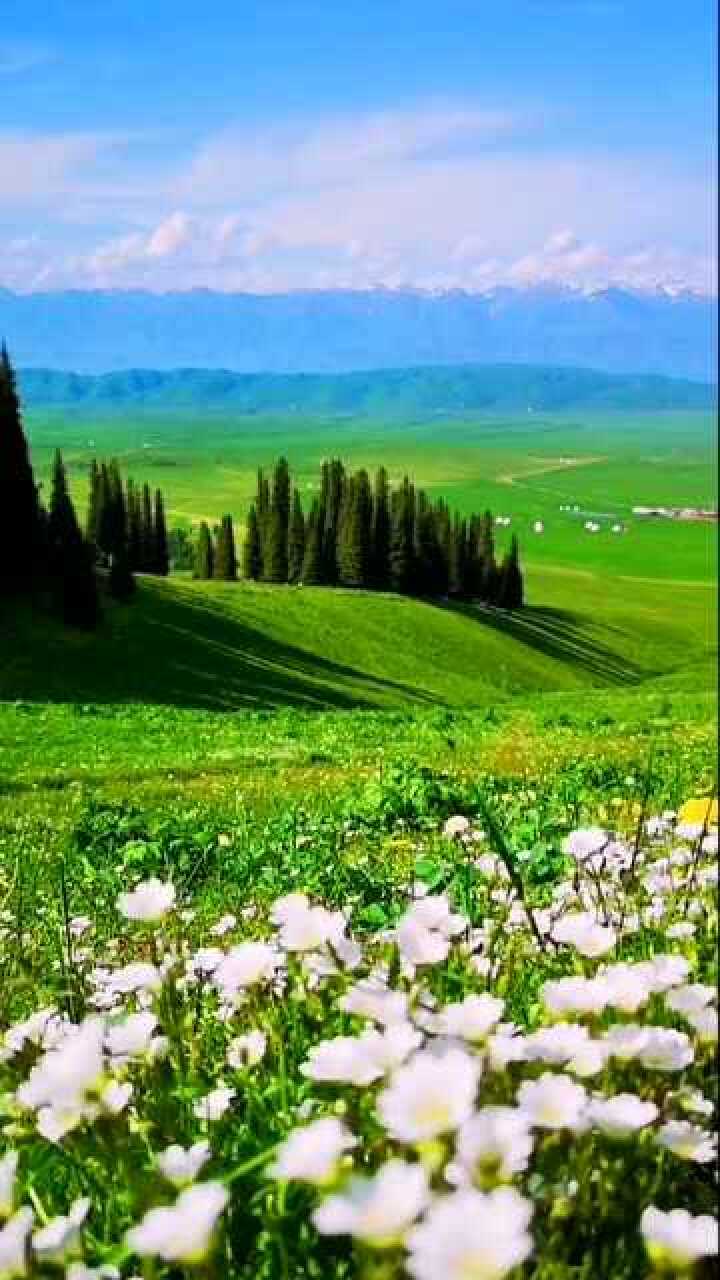 春暖花开时,来伊犁带你看遍草原花海!